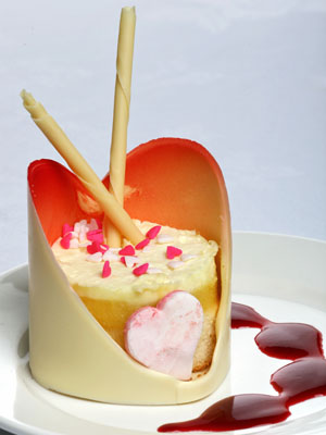 AHA Heart Ball 2009 (50)