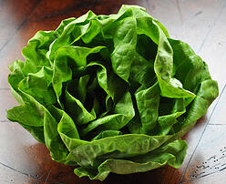 bibb lettuce