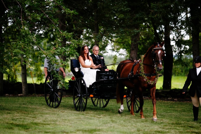 equestrian wedding