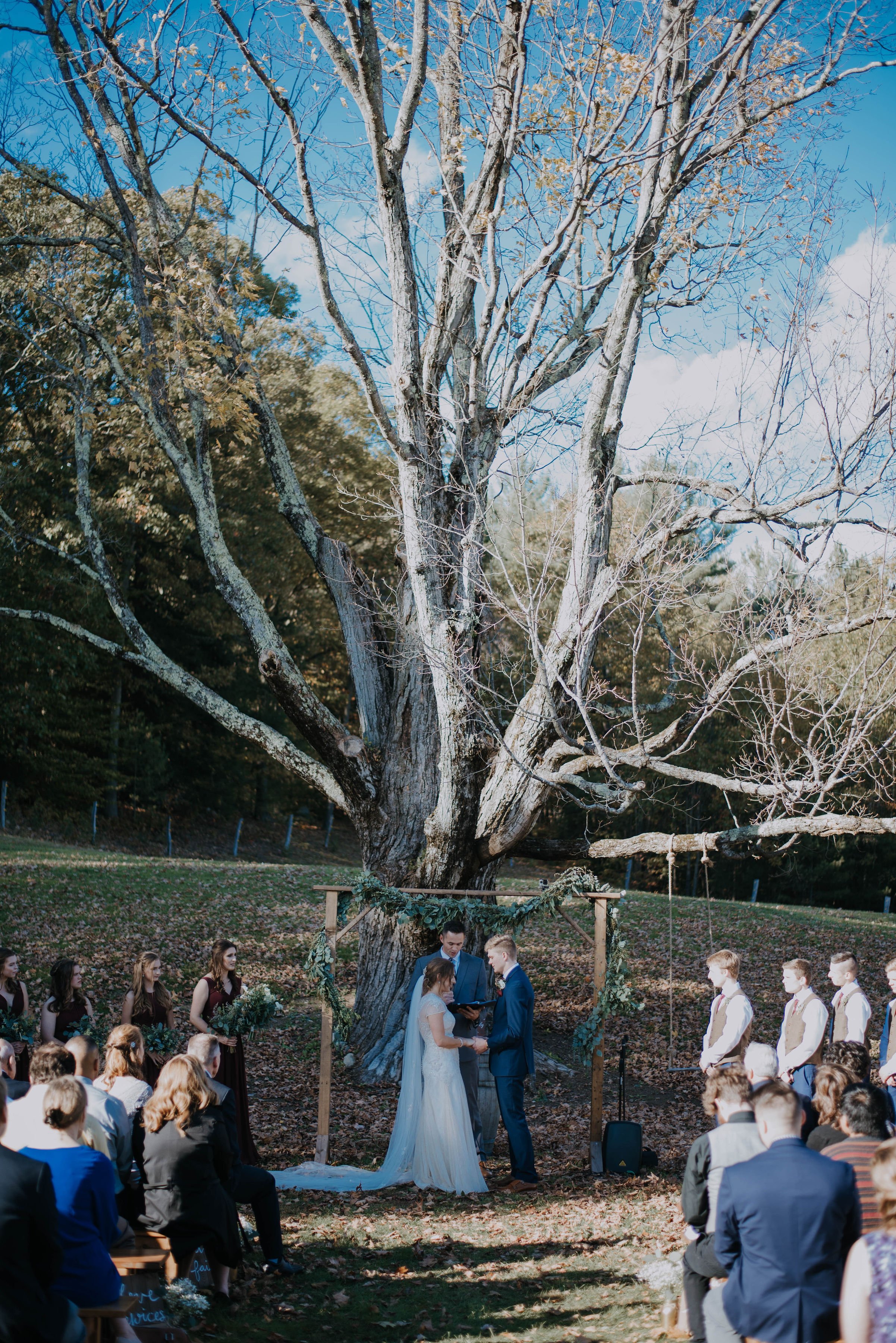 Allrose Farm Tree Ceremony