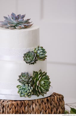 Succulant-weddingcake