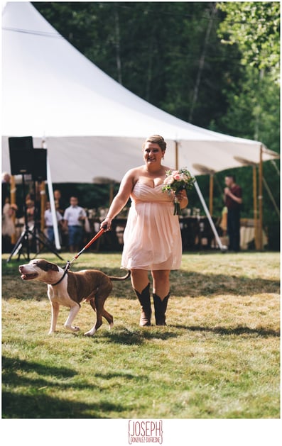 dog wedding ceremony