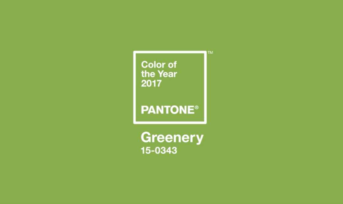 Pantone Color of the Year 2017
